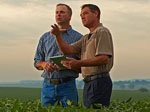 Syngenta helps lead efforts for farm-management software integration