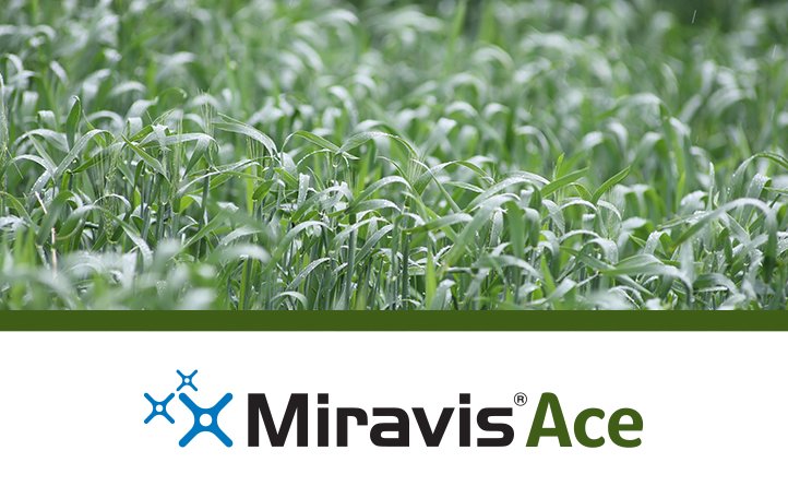 Get More Time with Miravis Ace