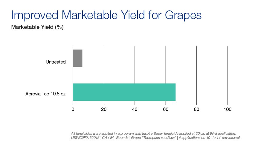 Improve marketable yield for grapes