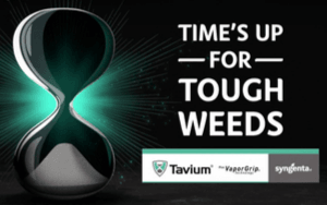 Tavium the clock is ticking graphic